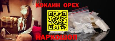 гидропоника Пенза