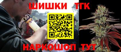 гидропоника Пенза