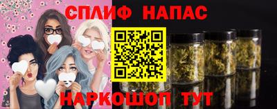гидропоника Пенза