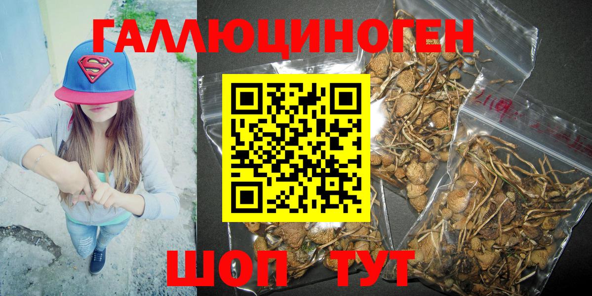 Галлюциногенные грибы мухоморы Саянск